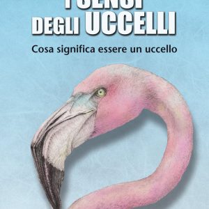 Libro I sensi degli uccelli. Cosa significa essere un uccello