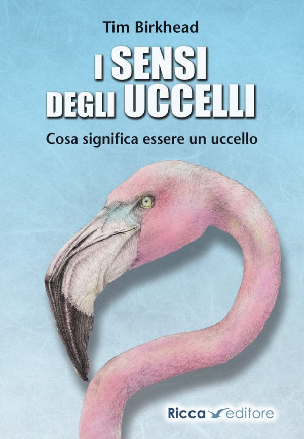 Libro I sensi degli uccelli. Cosa significa essere un uccello