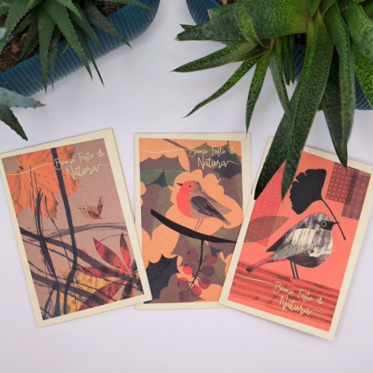 Kit di biglietti di Natale