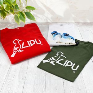 Abbigliamento