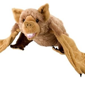 Pipistrello Marrone