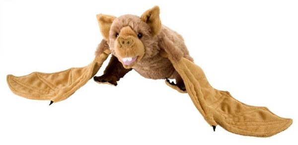 Pipistrello Marrone